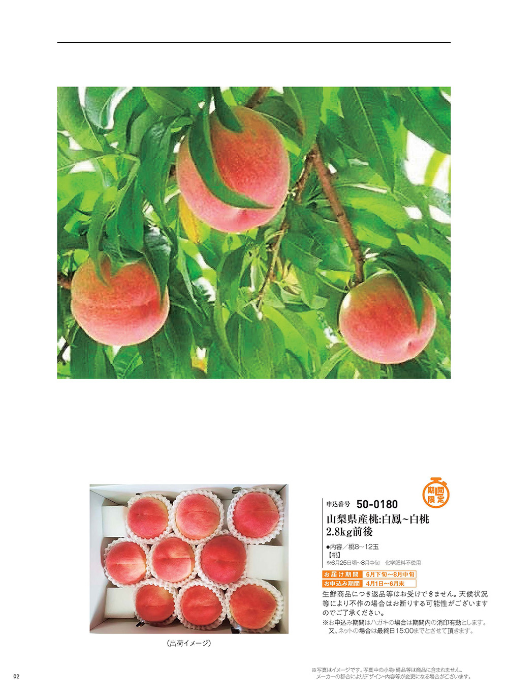 ヘパイストス(D-E)